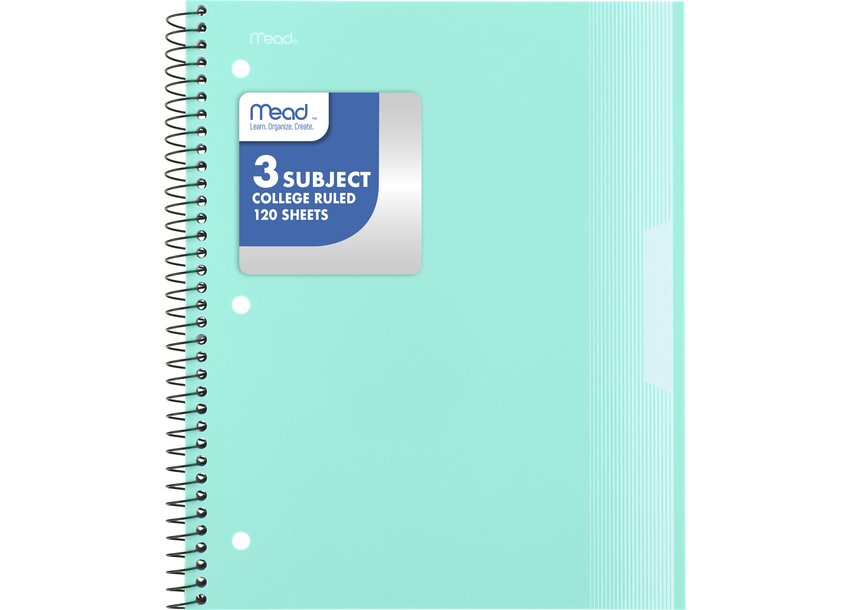 Flavia Inserts Daytimer UK - Diary Refills - Flavia 2-Page-Per-Week Diary Refill